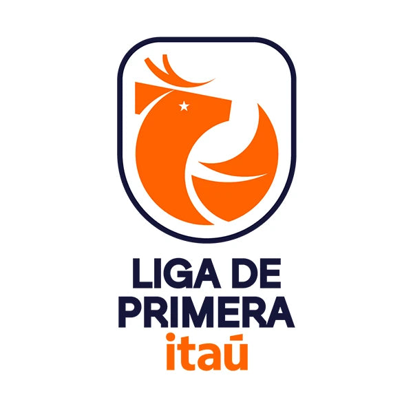 Liga Chilena